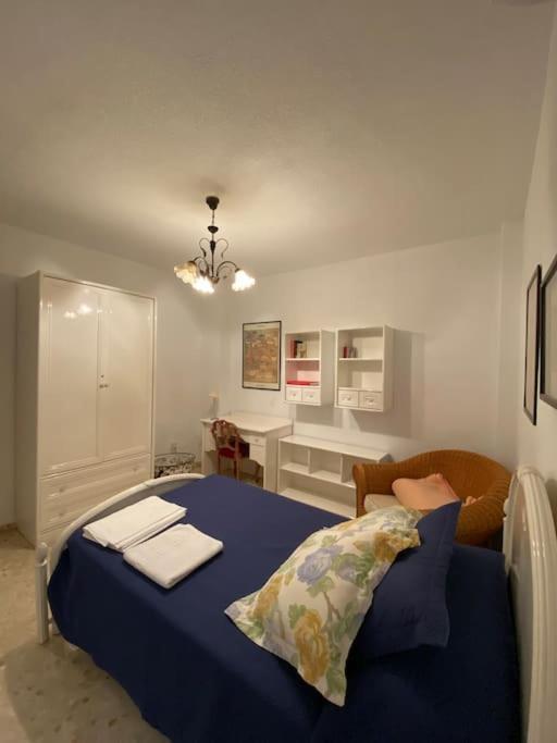Apartamento Piso En El Centro De Granada. Parking Opcional Exterior foto